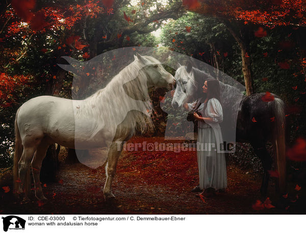 woman with andalusian horse / CDE-03000