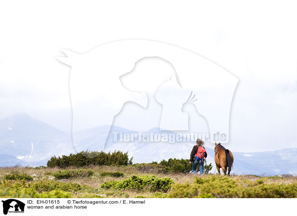 woman and arabian horse / EH-01615