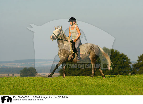 woman rides arabian horse / PM-04658