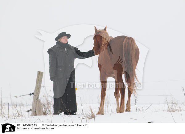 human and arabian horse / AP-07119