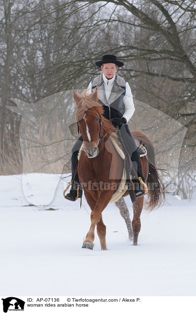 woman rides arabian horse / AP-07136