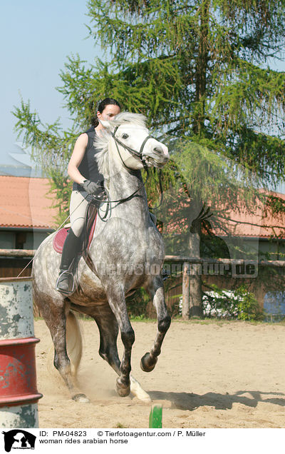 Araber verweigert / woman rides arabian horse / PM-04823