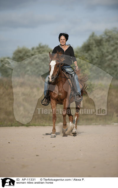 woman rides arabian horse / AP-11331
