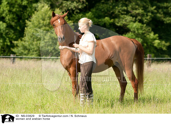 woman and arabian horse / NS-03829