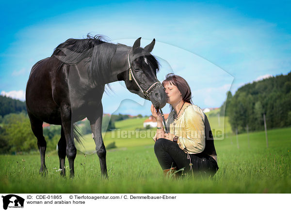 woman and arabian horse / CDE-01865