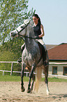 woman rides arabian horse