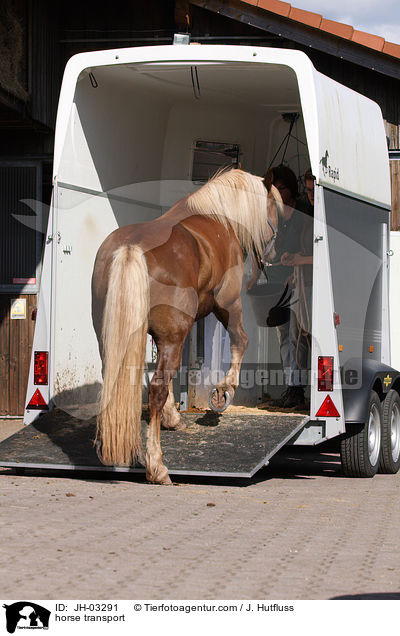 horse transport / JH-03291