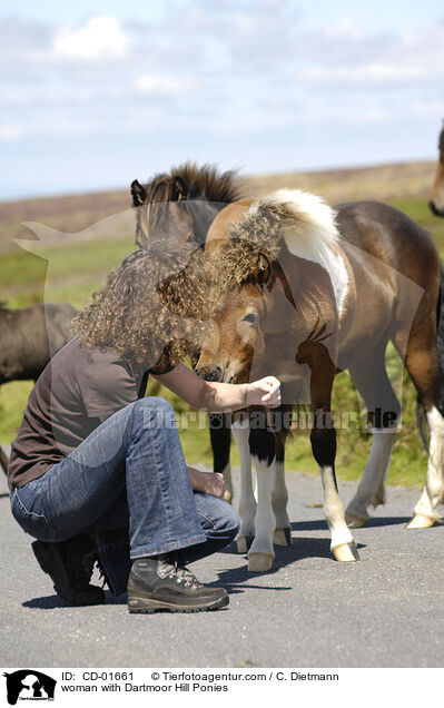 Frau mit Dartmoor Hill Ponies / woman with Dartmoor Hill Ponies / CD-01661