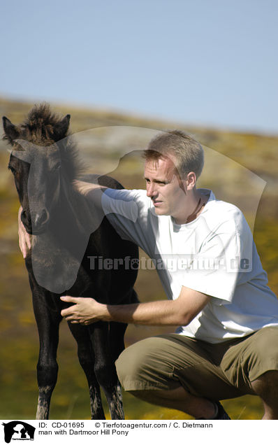 Mann mit Dartmoor Hill Pony / man with Dartmoor Hill Pony / CD-01695