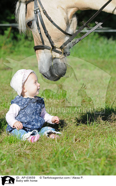 Kleinkind mit Fjordpferd / Baby with horse / AP-03659