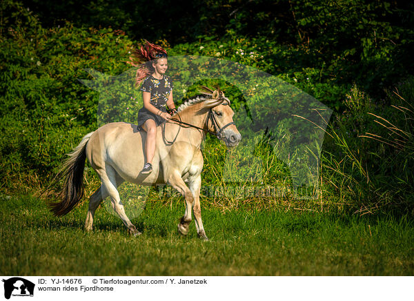 woman rides Fjordhorse / YJ-14676