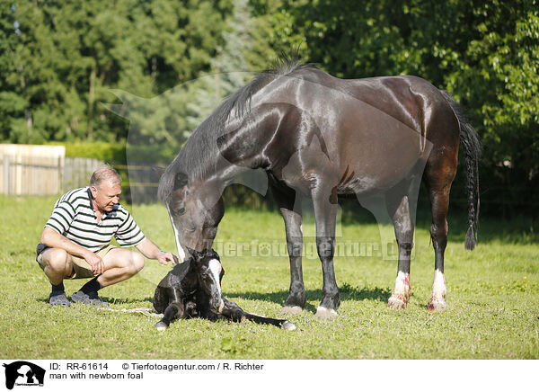 Mann mit neugeborenem Fohlen / man with newborn foal / RR-61614