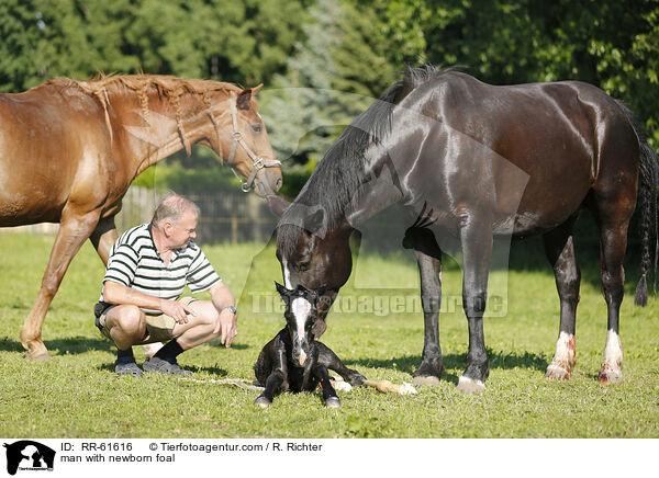 Mann mit neugeborenem Fohlen / man with newborn foal / RR-61616