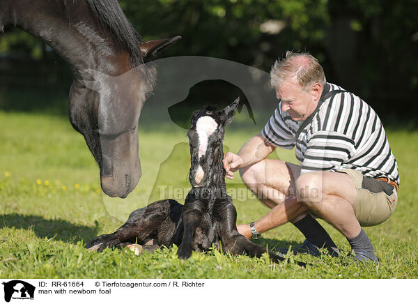 man with newborn foal / RR-61664