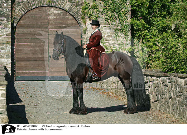 Friesian horse with horsewoman / AB-01097