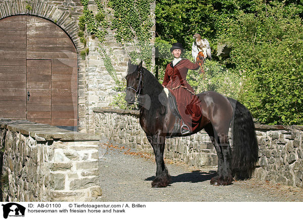 Reiterin mit Friese und Bussard / horsewoman with friesian horse and hawk / AB-01100