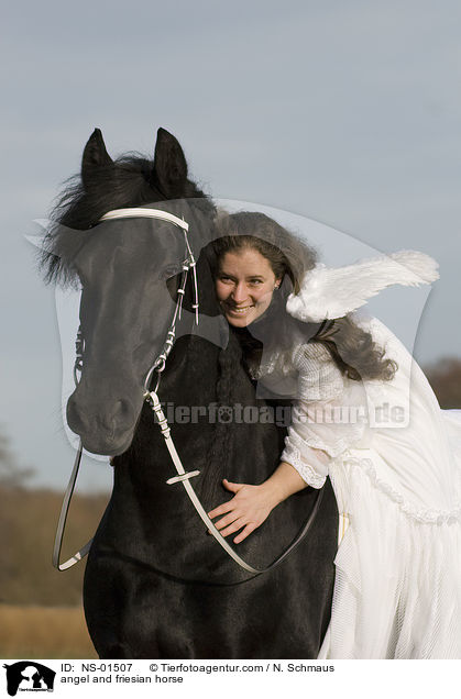 Engel und Friese / angel and friesian horse / NS-01507