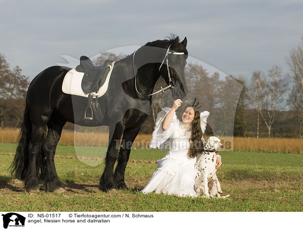 angel, friesian horse and dalmatian / NS-01517