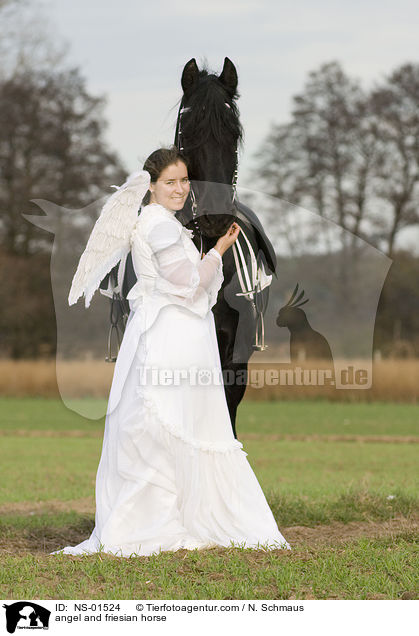 Engel und Friese / angel and friesian horse / NS-01524