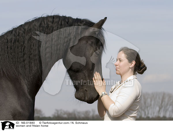 woman and frisian horse / NS-01880