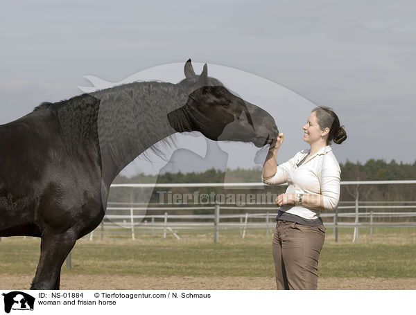 woman and frisian horse / NS-01884