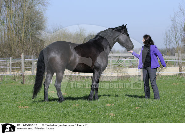woman and Friesian horse / AP-06167