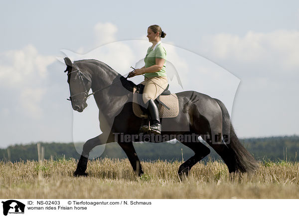 woman rides Frisian horse / NS-02403