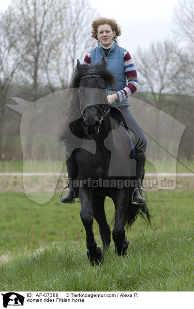 woman rides Frisian horse / AP-07388