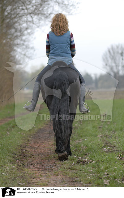woman rides Frisian horse / AP-07392
