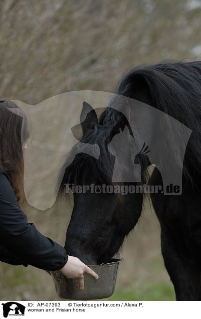 woman and Frisian horse / AP-07393