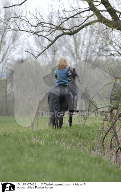 woman rides Frisian horse / AP-07401