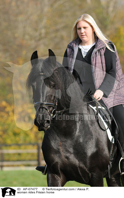 woman rides Frisian horse / AP-07477
