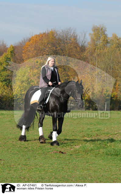 woman rides Frisian horse / AP-07481