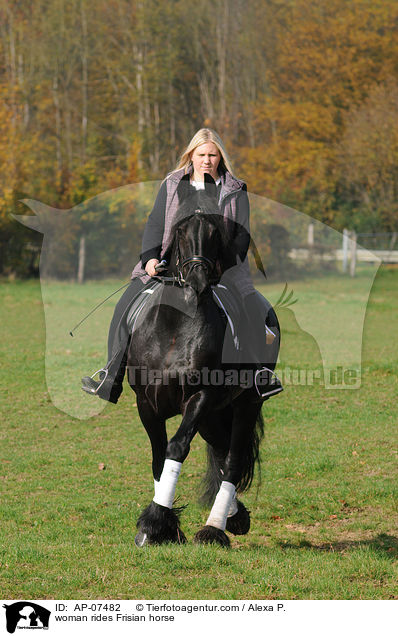woman rides Frisian horse / AP-07482
