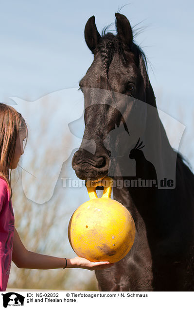 girl and Friesian horse / NS-02832