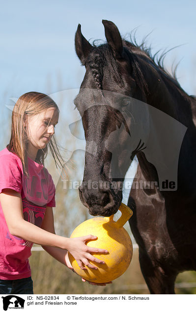 girl and Friesian horse / NS-02834
