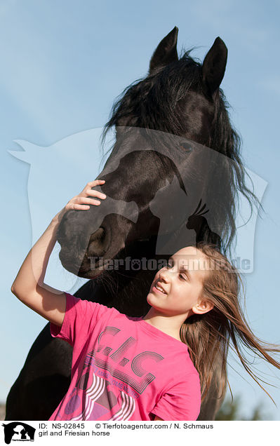 girl and Friesian horse / NS-02845