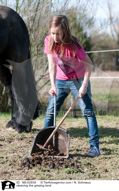 cleaning the grazing land / NS-02939