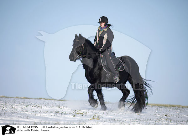 rider with Frisian horse / RR-41235
