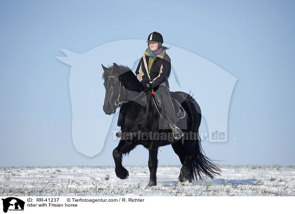 rider with Frisian horse / RR-41237