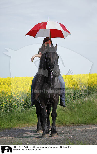 woman rides Frisian horse / RR-42789