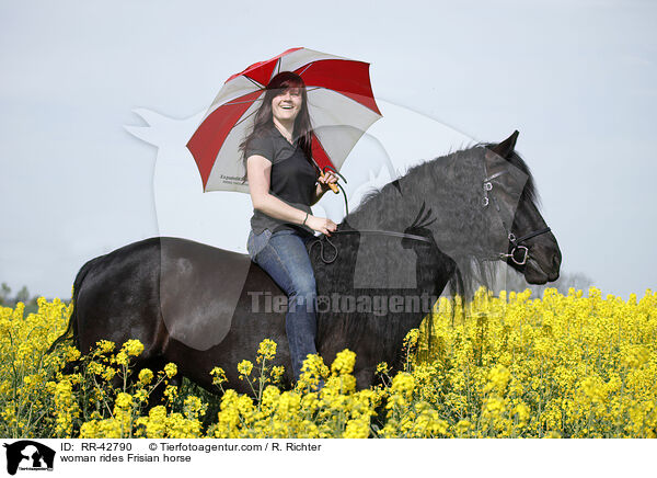woman rides Frisian horse / RR-42790