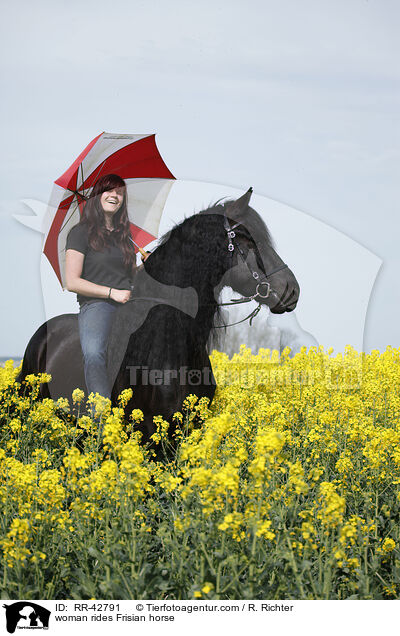 woman rides Frisian horse / RR-42791