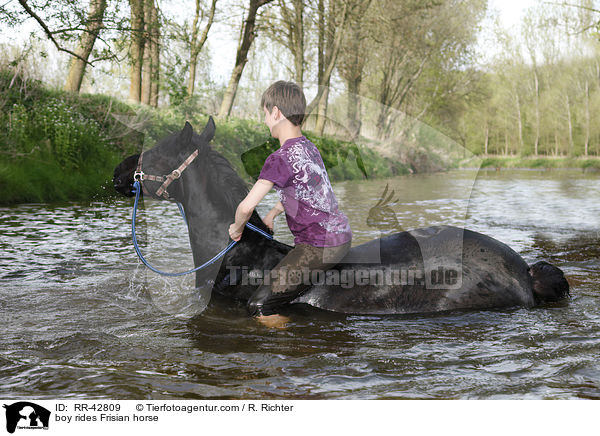 boy rides Frisian horse / RR-42809