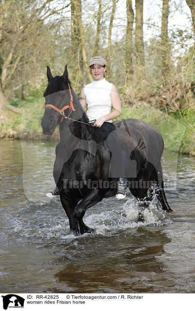 woman rides Frisian horse / RR-42825