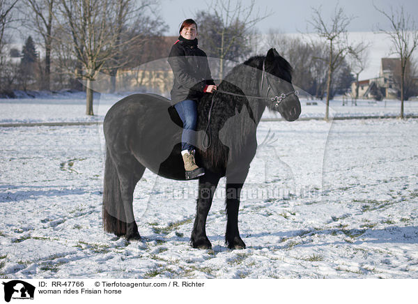 woman rides Frisian horse / RR-47766