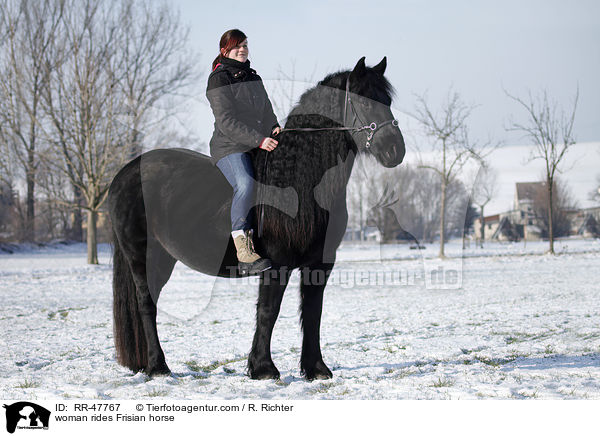 Frau reitet Friese / woman rides Frisian horse / RR-47767