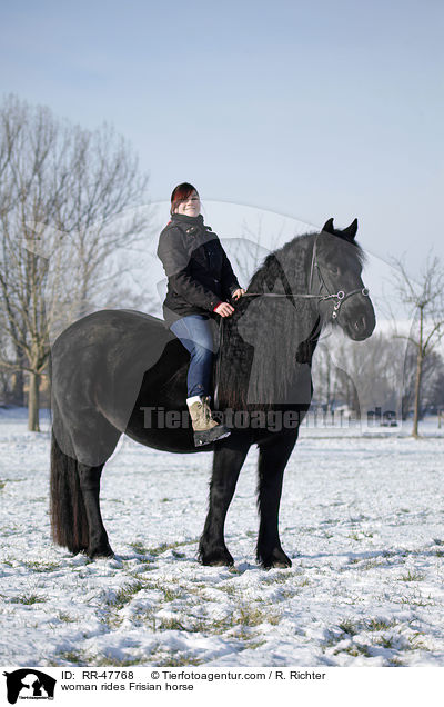 woman rides Frisian horse / RR-47768