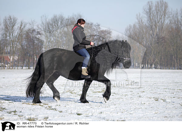 woman rides Frisian horse / RR-47770