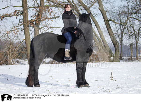 woman rides Frisian horse / RR-47812